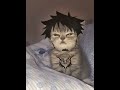 Trafalgar Law - Lost in Shinsekai