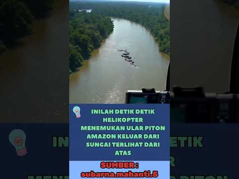 PENAMPAKAN ULAR PITON TERBESAR DI SUNGAI AMZON ASLI APA HOAXX Viralvideo Fypシ Viral