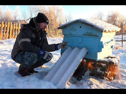 Навел шороху в