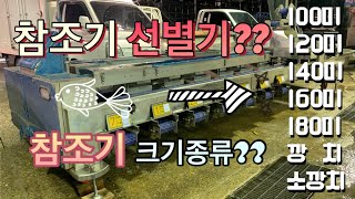 참조기 선별기가 뭔가요?/참조기 크기 종류가 이렇게 많다고요?? 알고 구입해야겠다!!/참조기를 구입하러가자!!