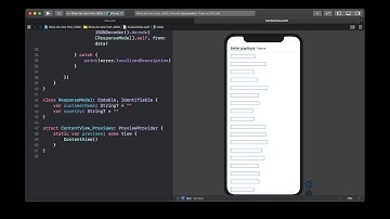 Show API data in XCode preview, read local file - Swift UI