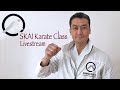 SKAI International Live Karate class with Shinji Akita [Akita's Karate Video】