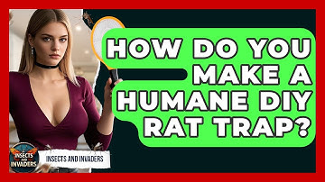 How Do You Make A Humane DIY Rat Trap? - Insects and Invaders