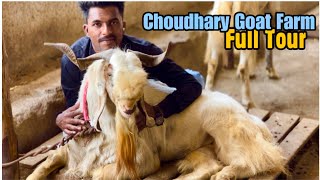 Full Tour Of The All New Choudhary Goat Farm, Padgha