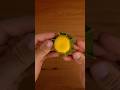 Two-tone ravioli