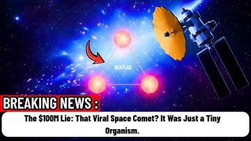 De leugen van 100 miljoen dollar: die virale ruimtekomeet? Het was maar een klein organisme.