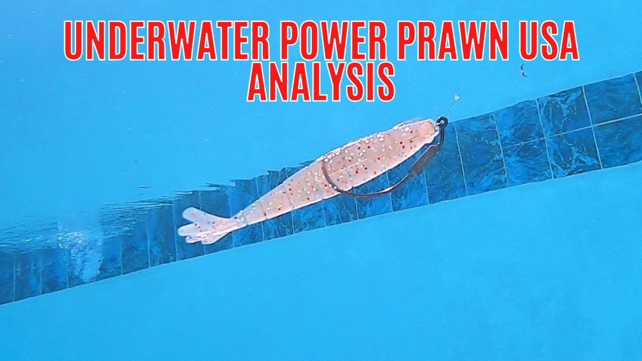 Underwater Power Prawn USA Analysis [Weighted Hook VS