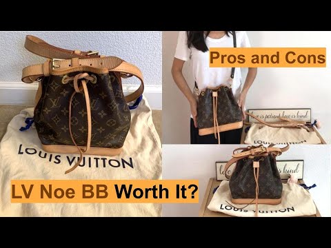 Louis Vuitton Noe Handbag Review! - Fashion For Lunch.