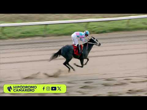 RACE 6 - 10/11/2026 (LA INCOMPRENDIDA)