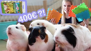 Guinea Pig Products I Regret Buying