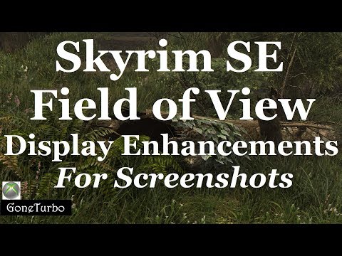 Skyrim SE- Field of View for Screenshots- Xbox One