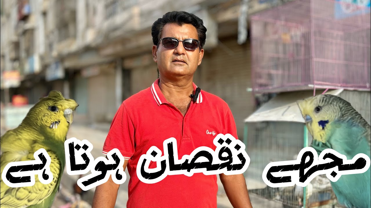 Mujhe Nuksaan Hota Hai | Parinda Party & Others | 17/02/26 | North Karachi