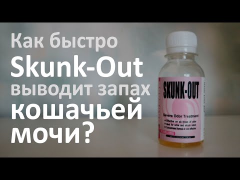 Как избавиться от запаха кошачьей мочи на ткани? Испытываем Skunk-Out.