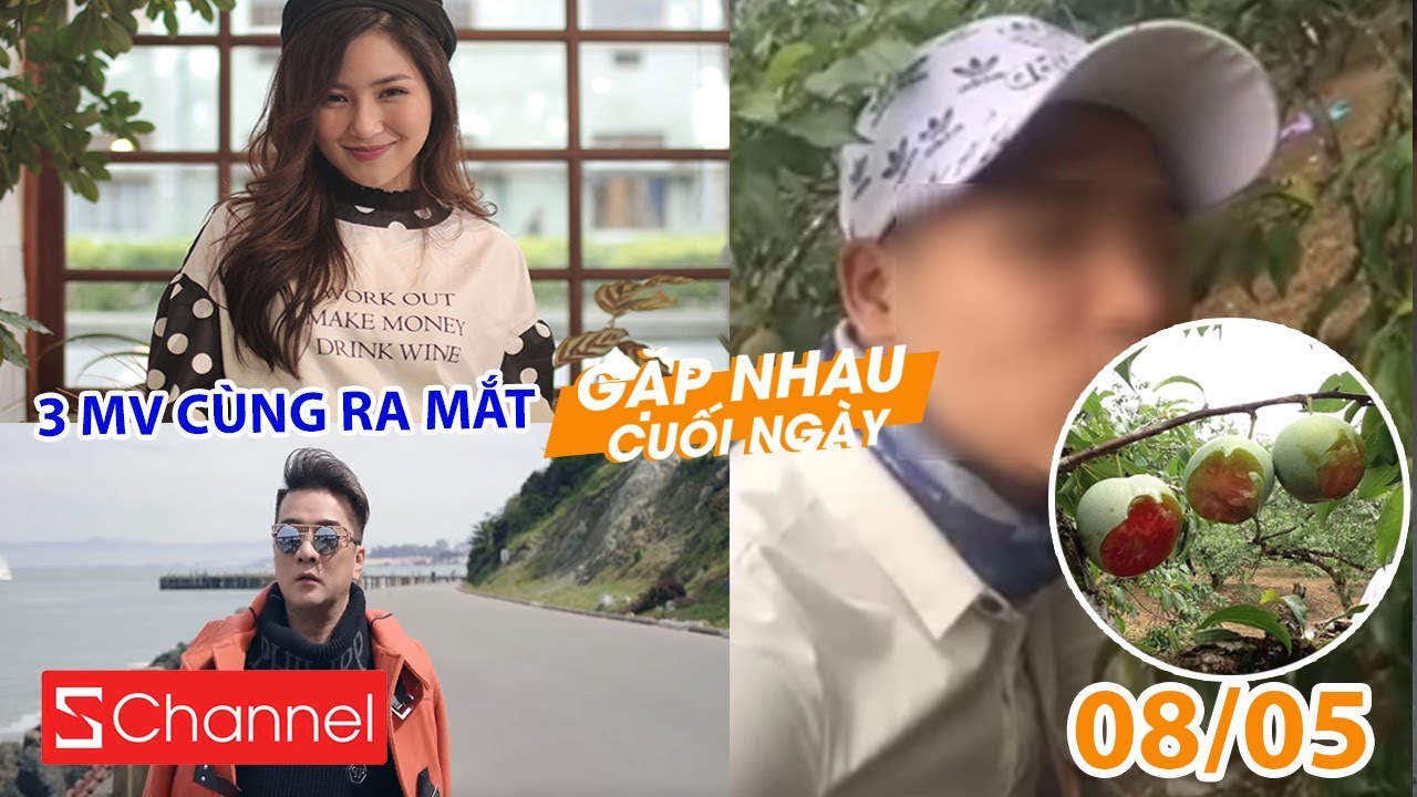 Chỉ 1 đêm có tới 3 MV cùng ra mắt | Tranh cãi phượt thủ ăn nham nhở vườn mận - GNCN 8/5 newsletter