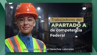 Representación jurídica PROFEDET