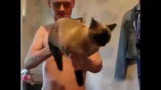 Laughter ... Russians Are Amazing. Cat Ak-47