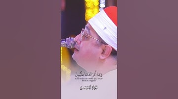 كَلَّا إِنَّ كِتَابَ الْأَبْرَارِ لَفِي عِلِّيِّينَ  القارئ محمود الشحات أنور  #قران #محمود_الشحات