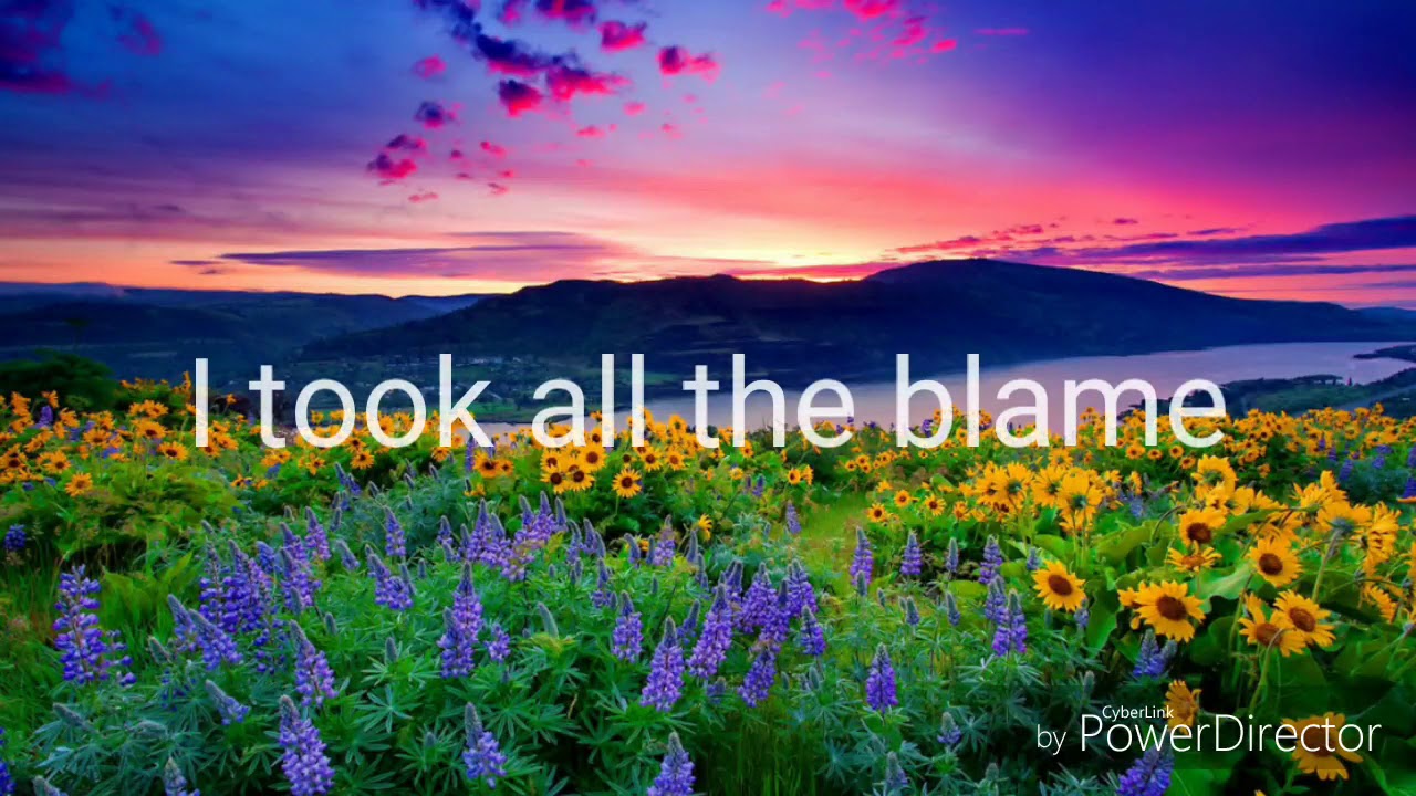 You by Elijah Woods x Jamie Fine