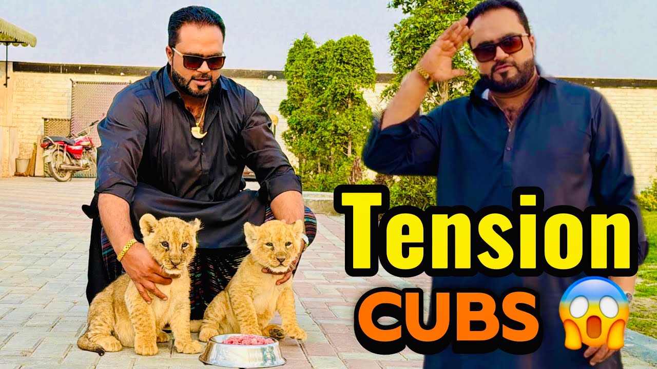 Diana Kay babies ko Diana say alag 🙏babies khana nahi kha rahay 😰(mian saqib)