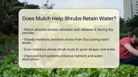 Does Mulch Help Shrubs Retain Water? - The Plant Enthusiast
