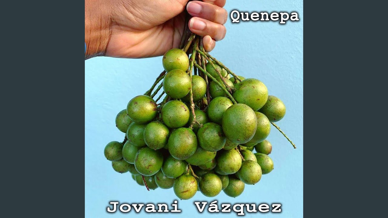 Quenepa - YouTube