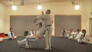 Bridgwater Ju Jitsu Green Belt Grading
