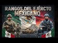 Rangos del EJÉRCITO MEXICANO 🇲🇽