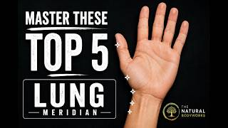 Important points on the Lung Meridian (acupuncture)