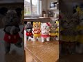 Trending catz😺#youtube #viralshorts#ytshorts #edit #cinematic#animation#faceless #contentcreator