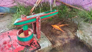 water powered pounder corn mill live