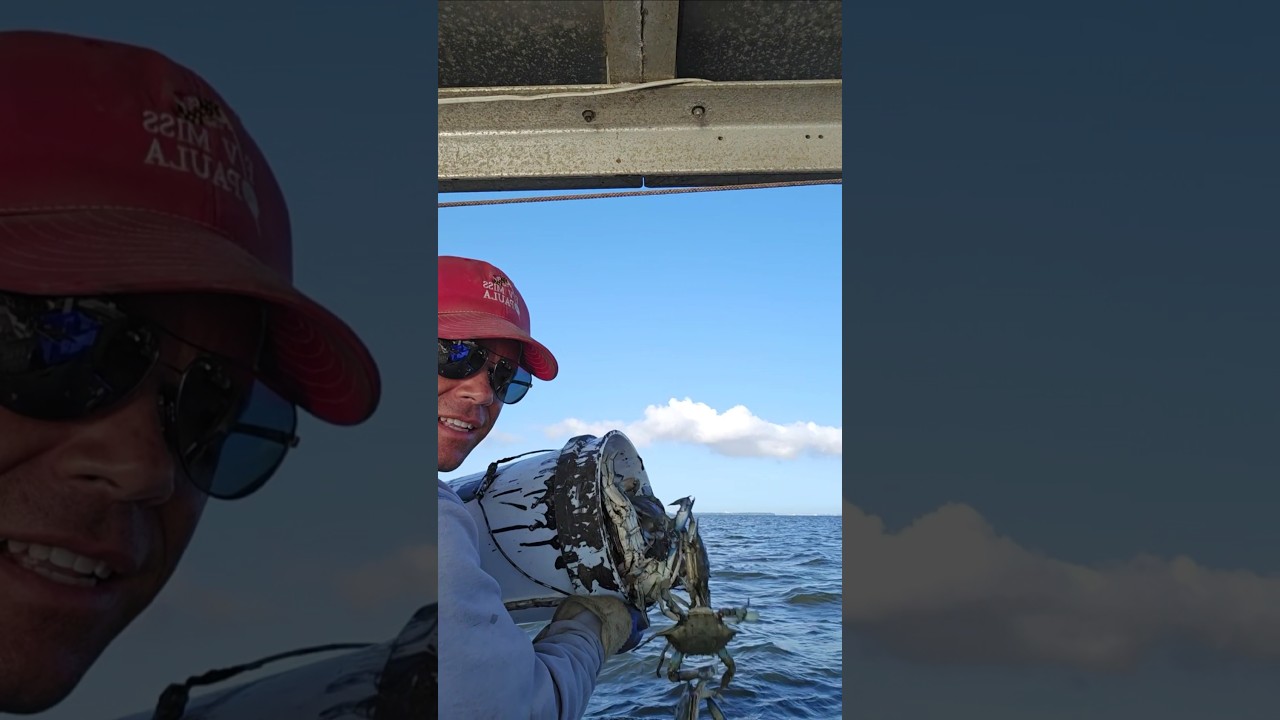 What is the number one Problem with the Chesapeake Bay?  