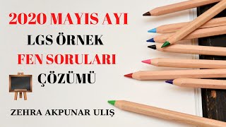 Lgs 2020 Mayıs Ayı Fen Bilimleri Örnek Soruları Çözümleri