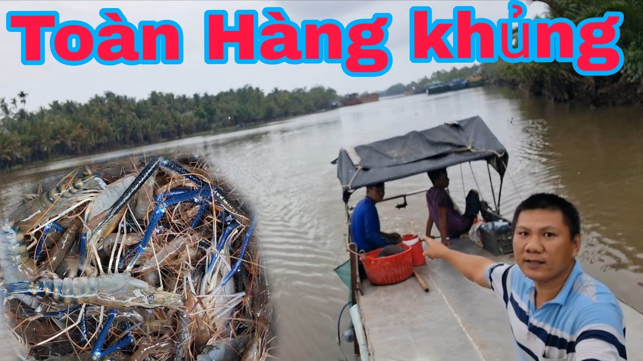 GHE CÀO TRÊN SÔNG TOÀN TÔM KHỦNG....1 ngày trải nghiệm trên sông 