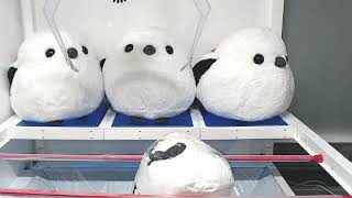 ふくふくシマエナガｂｉｇ ａ シマちゃん がとれました Youtube