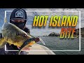 Exploring catalina island searching for calico bass