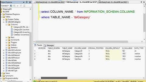 DynamicInsert1 My SQL Server 2008 Khmer Videos IT 3
