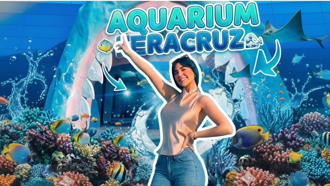 Это НОВЫЙ аквариум Веракруса | Акулы, ламантины и иммерсивные зоны. Аквариум 2025 года.