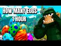 How many eggs can i get in 1 hour?