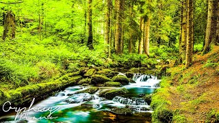 Flow Meditation 18 | Waterfall Sounds - Relax and Meditate