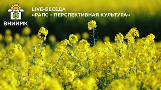 Live-беседа Свое фермерство и ФГБНУ ФНЦ ВНИИМК «Рапс – перспективная культура»