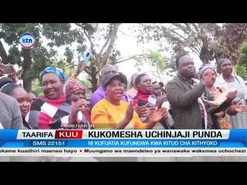 Serikali Yaapa Kukomesha Uchinjaji Haramu wa Punda Kithyoko, Machakos