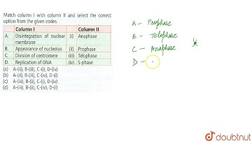Match the column I with column II and select the correct option from the given codes. {:(Column ...