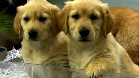 Introducing Video for Change