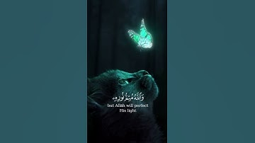 ارح قلبك😴❤️//تلاوه هادئه جميله جدا😴❤️//حالات  واتس اب قرآنيه😴❤️//ستوريات انستا قرآنيه قصيره