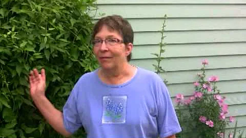 Hi Mom From Kathy