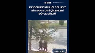 Kayseri'de kimliği belirsiz bir şahıs dikili çiçekleri böyle söktü #shorts #keşfet