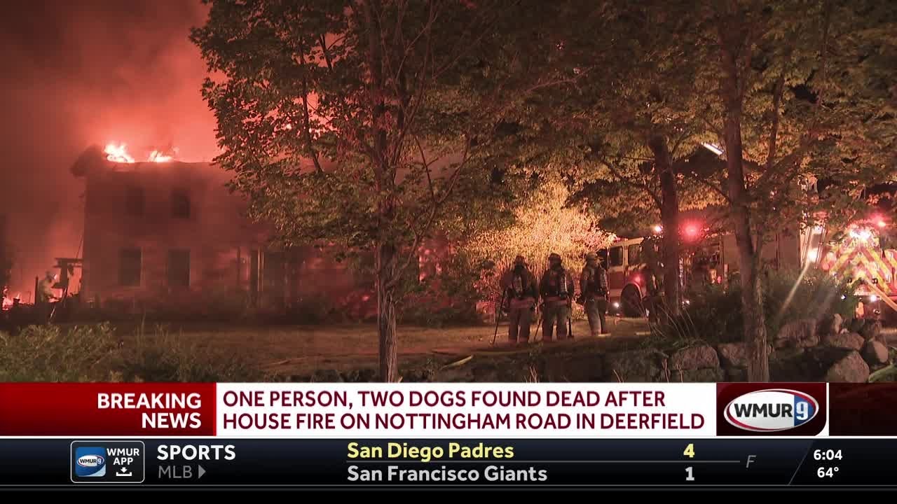 1 person, 2 dogs found dead after fire in Deerfield, officials say ...
