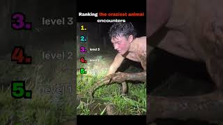 These Animal Encounters Were INSANE 😭 | Ranked