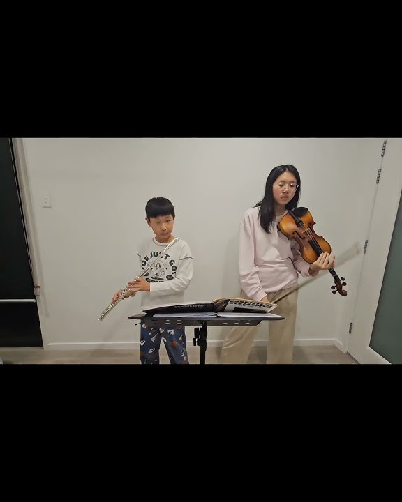Daily Roha's Violin 🎻 and Flute.