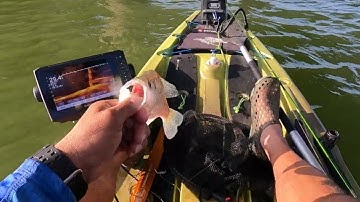 Where to find Post spawn crappie 2023!